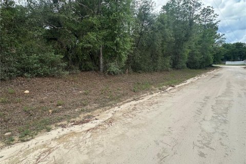 Land in Archer, Florida № 2161479 - photo 11