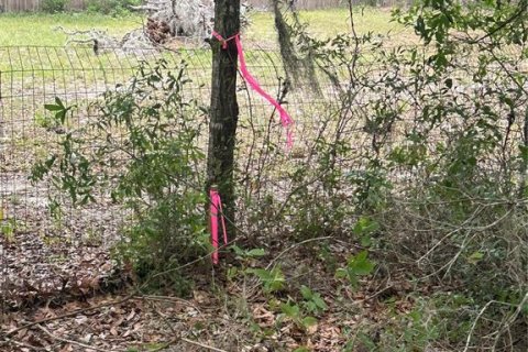 Land in Archer, Florida № 2161479 - photo 5