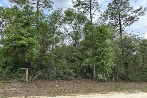 Land in Archer, Florida № 2161479 - photo 4