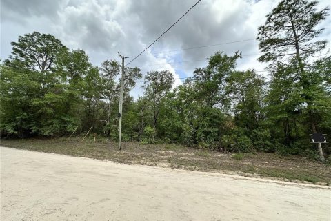 Land in Archer, Florida № 2161479 - photo 2