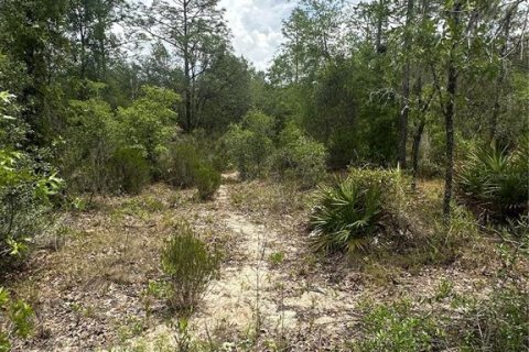 Land in Archer, Florida № 2161479 - photo 8