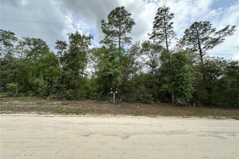 Land in Archer, Florida № 2161479