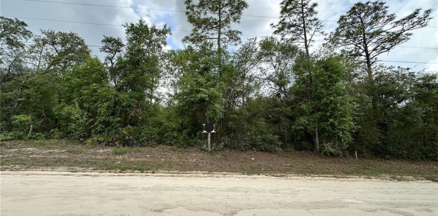 Land in Archer, Florida № 2161479