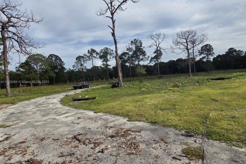 Terrain à vendre à Clewiston, Floride № 1946743 - photo 4