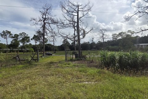 Terrain à vendre à Clewiston, Floride № 1946743 - photo 5