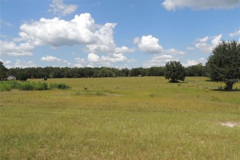 Купить виллу или дом в Бронсон, Флорида 3 комнаты, 44.59м2, № 1914222 - фото 8