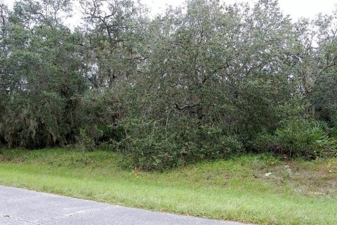 Land in Poinciana, Florida № 2206406