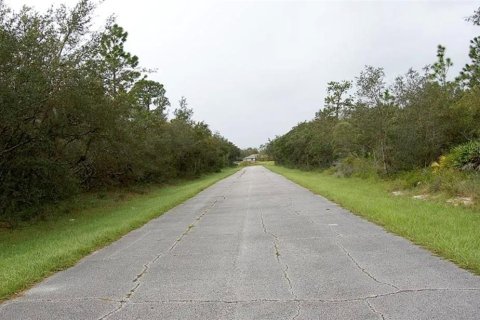 Land in Poinciana, Florida № 2206406 - photo 3