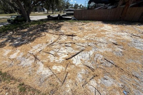 Land in New Port Richey, Florida № 2161440 - photo 2