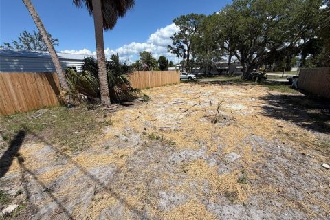 Land in New Port Richey, Florida № 2161440 - photo 5