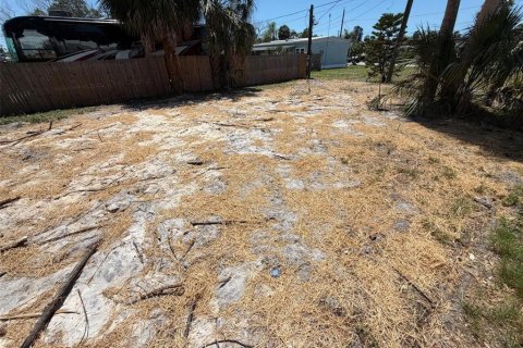 Land in New Port Richey, Florida № 2161440 - photo 3