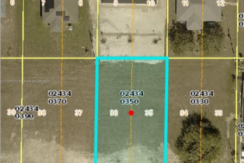 Terrain à vendre à Cape Coral, Floride № 2012635 - photo 2