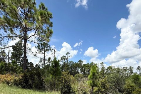 Terrain à vendre à Eustis, Floride № 1879138 - photo 9