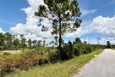 Terrain à vendre à Eustis, Floride № 1879138 - photo 6