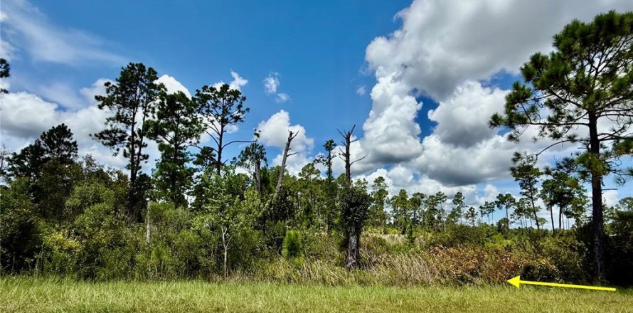 Land in Eustis, Florida № 1879138