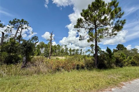 Terrain à vendre à Eustis, Floride № 1879138 - photo 5