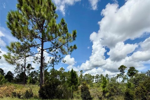 Terrain à vendre à Eustis, Floride № 1879138 - photo 4
