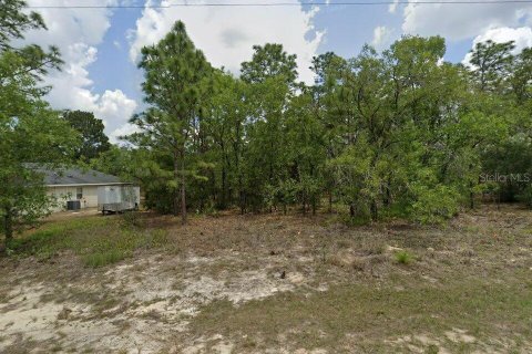 Land in Dunnellon, Florida № 2215009
