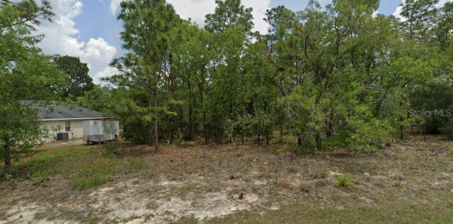 Land in Dunnellon, Florida № 2215009