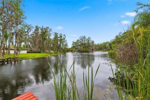 Villa ou maison à vendre à Lutz, Floride: 4 chambres, 354.42 m2 № 2151159 - photo 28