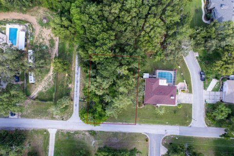 Land in Eustis, Florida № 1824206 - photo 6