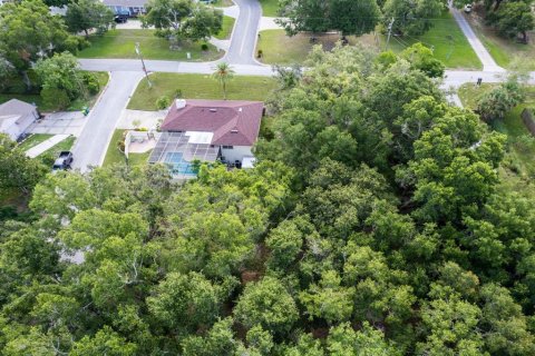 Land in Eustis, Florida № 1824206 - photo 7