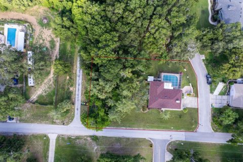 Land in Eustis, Florida № 1824206 - photo 5
