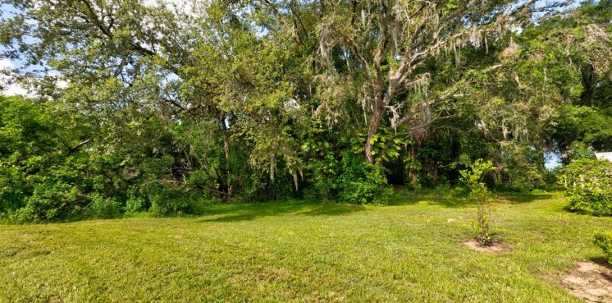 Land in Eustis, Florida № 1824206