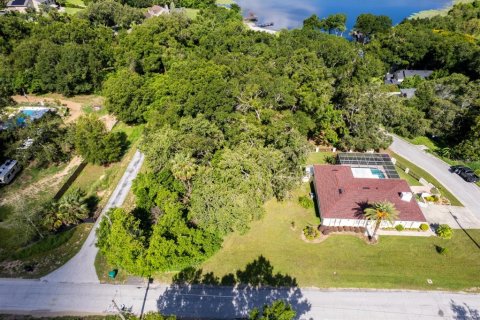 Land in Eustis, Florida № 1824206 - photo 3