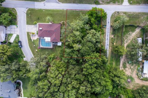 Land in Eustis, Florida № 1824206 - photo 2