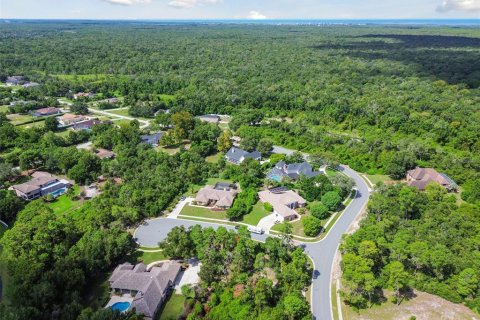 Land in Weeki Wachee, Florida № 1356171 - photo 22