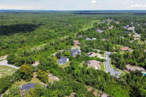 Land in Weeki Wachee, Florida № 1356171 - photo 17