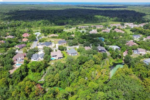 Land in Weeki Wachee, Florida № 1356171 - photo 18