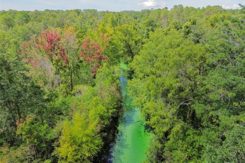 Land in Weeki Wachee, Florida № 1356171 - photo 6