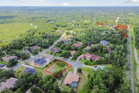 Land in Weeki Wachee, Florida № 1356171 - photo 16