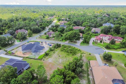 Land in Weeki Wachee, Florida № 1356171 - photo 25