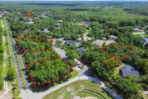Land in Weeki Wachee, Florida № 1356171 - photo 15