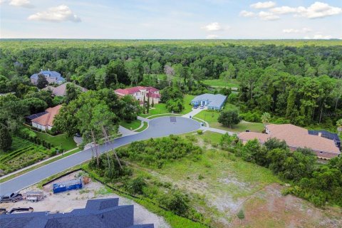 Land in Weeki Wachee, Florida № 1356171 - photo 23