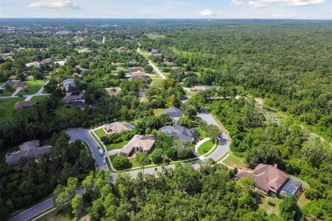 Land in Weeki Wachee, Florida № 1356171 - photo 21