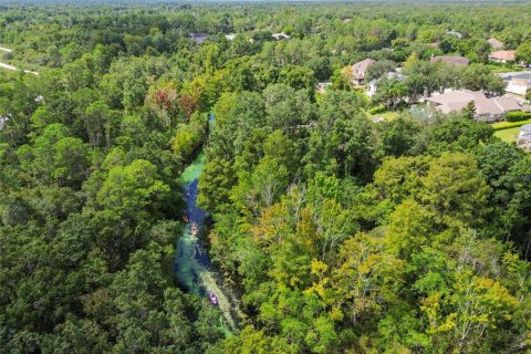 Land in Weeki Wachee, Florida № 1356171 - photo 20