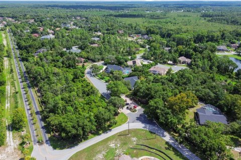 Land in Weeki Wachee, Florida № 1356171 - photo 19