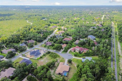Land in Weeki Wachee, Florida № 1356171 - photo 8