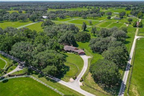 Casa en alquiler en Ocala, Florida, 3 dormitorios, 179.58 m2 № 1852730 - foto 6