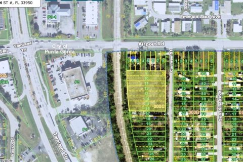 Land in Punta Gorda, Florida № 1561574 - photo 2