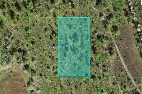 Terreno en Frostproof, Florida № 2164076