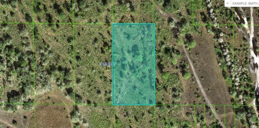 Terreno en Frostproof, Florida № 2164076