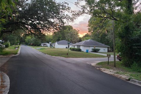 Land in High Springs, Florida № 2206131 - photo 3