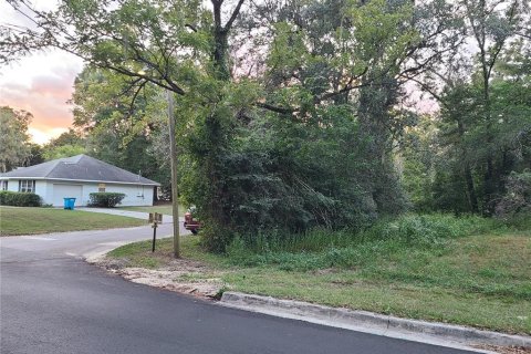 Land in High Springs, Florida № 2206131 - photo 2