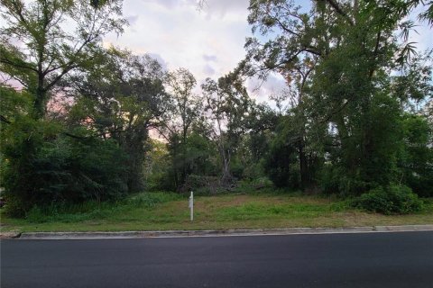 Land in High Springs, Florida № 2206131