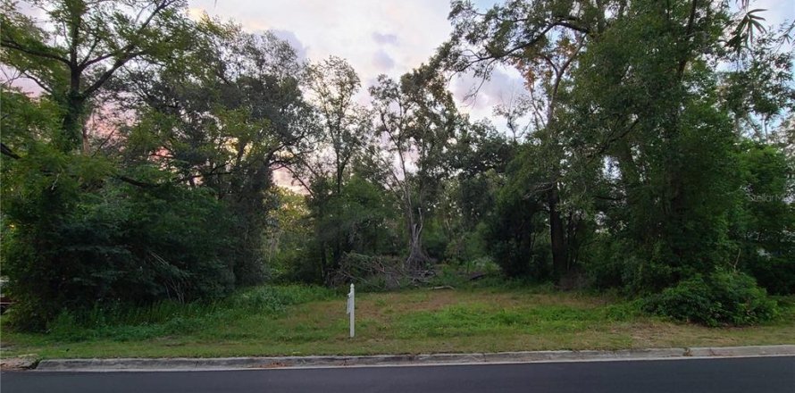Land in High Springs, Florida № 2206131